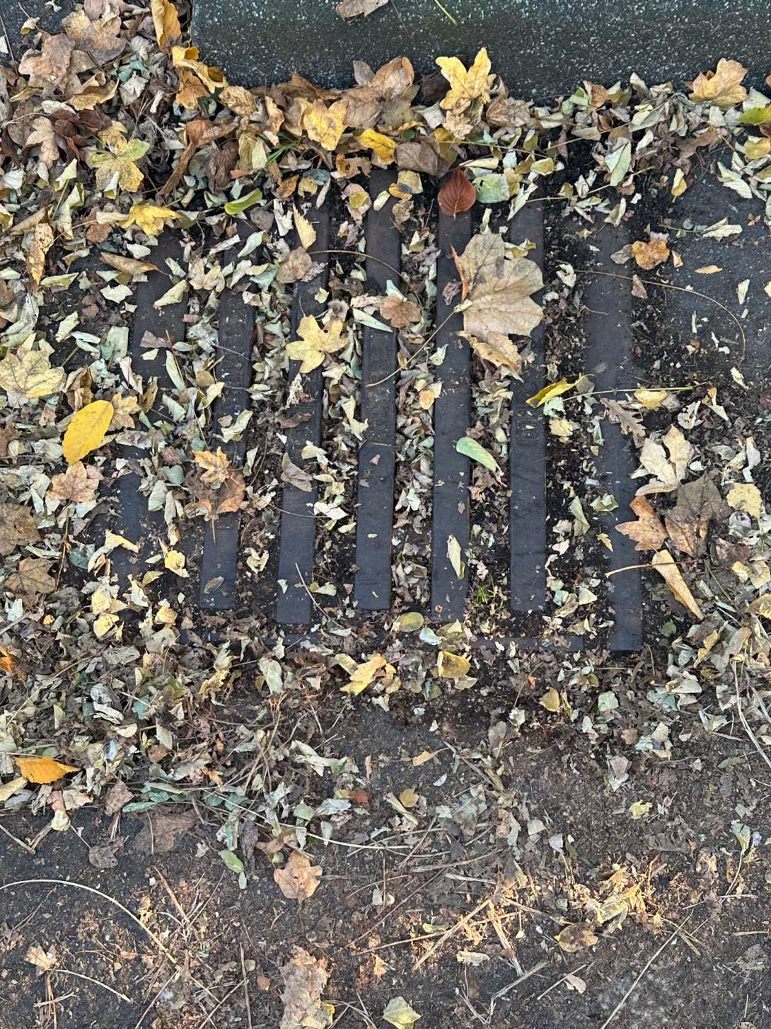 Bild zu gemeldetem Anliegen vom *2025-11-09 17:09:58