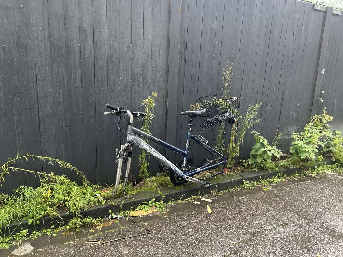 Bild zu gemeldetem Anliegen vom *2025-11-01 15:33:22