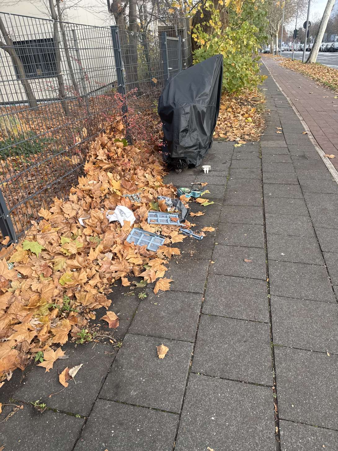 Bild zu gemeldetem Anliegen vom *2025-11-24 15:49:11