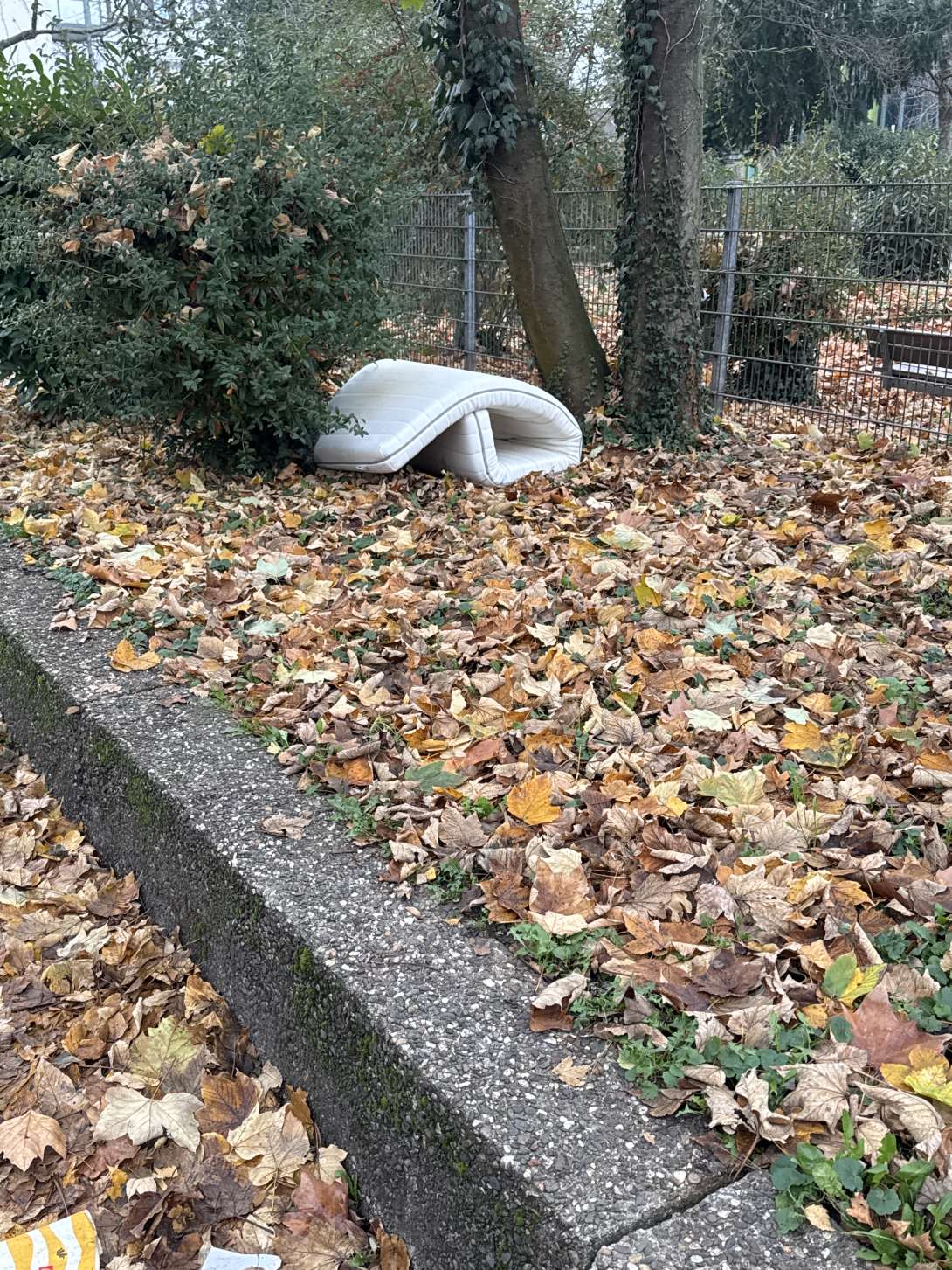 Bild zu gemeldetem Anliegen vom *2025-11-26 09:36:36