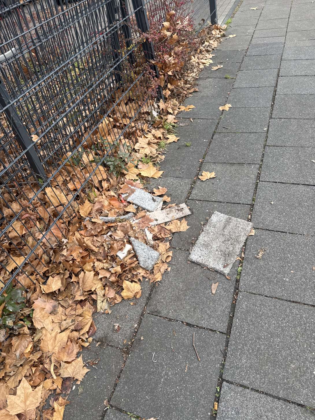 Bild zu gemeldetem Anliegen vom *2025-11-27 10:40:54