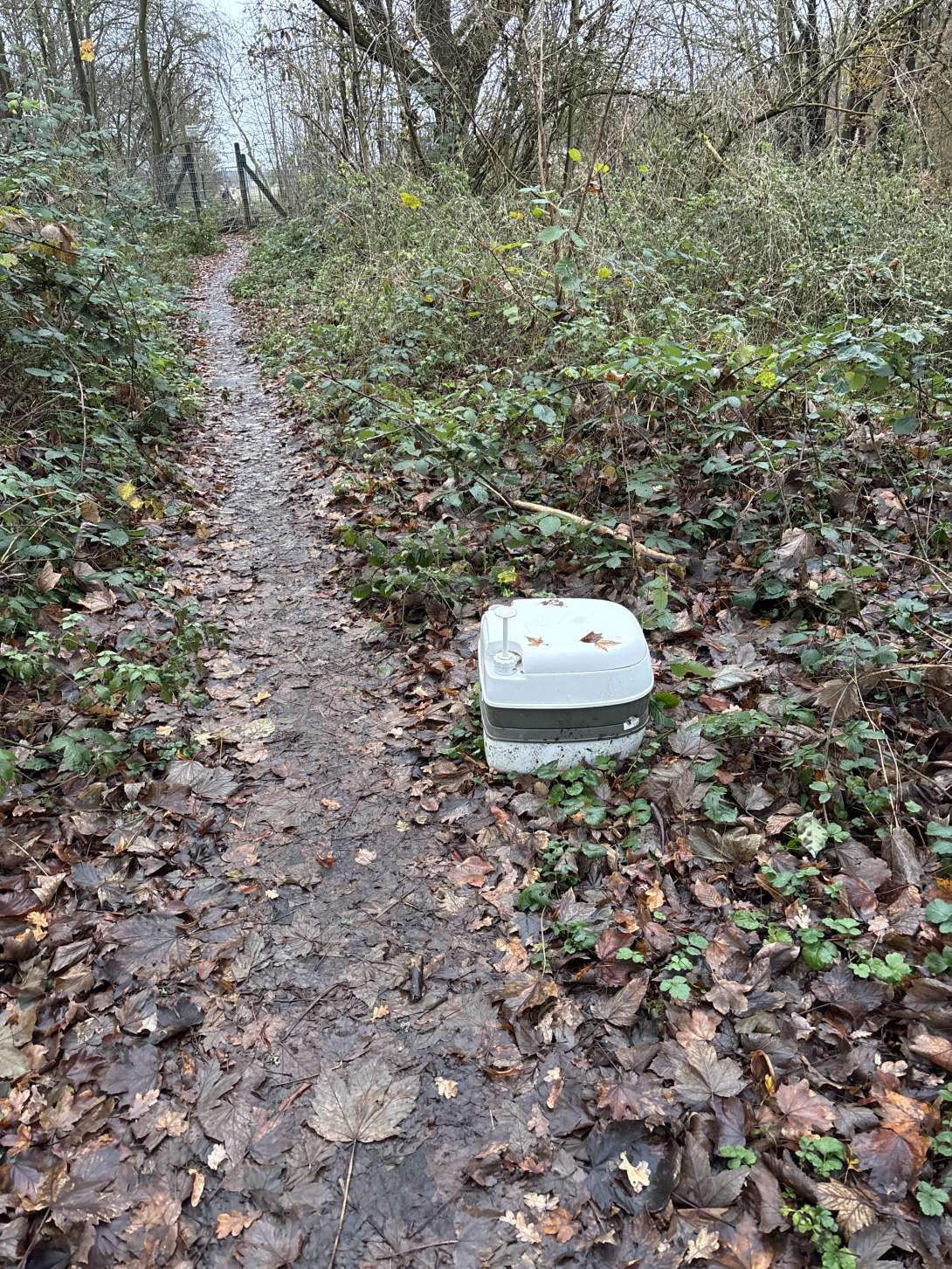 Bild zu gemeldetem Anliegen vom *2025-11-28 16:04:12