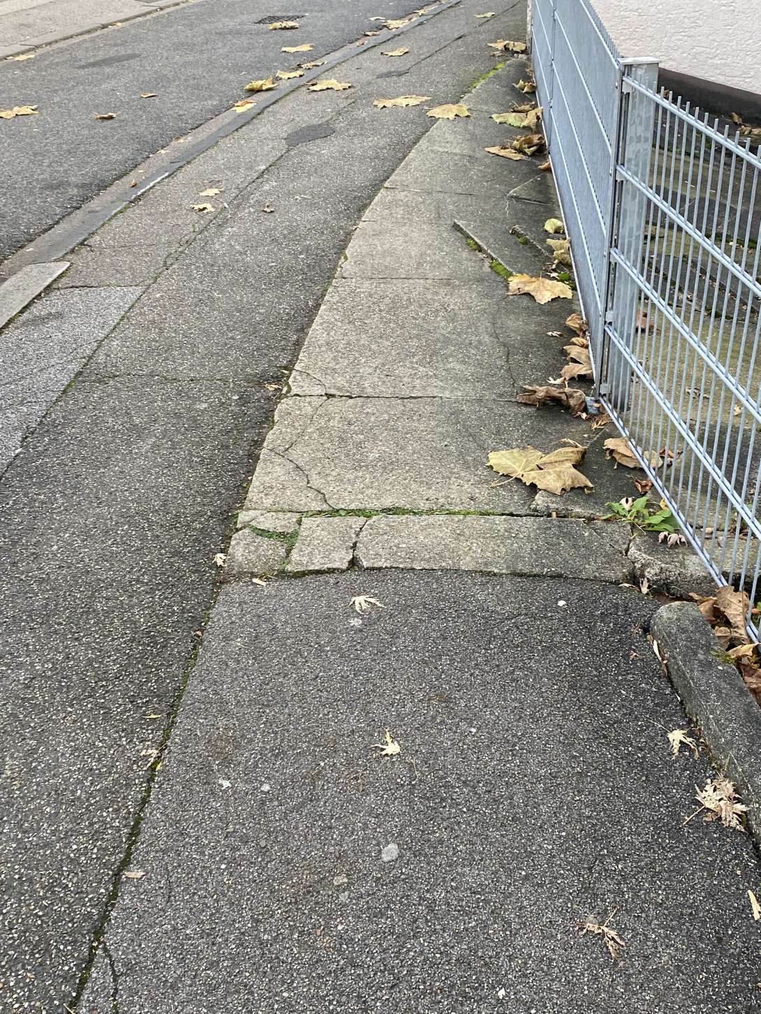 Bild zu gemeldetem Anliegen vom *2025-11-05 08:51:25