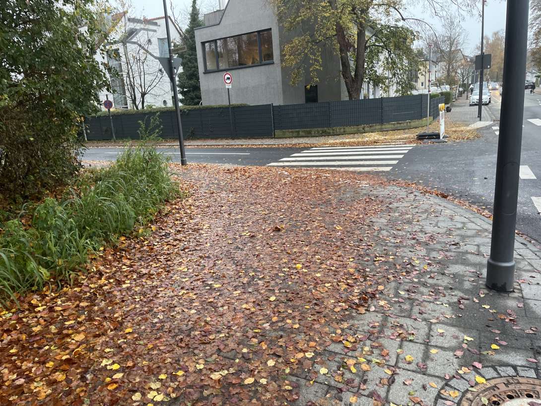 Bild zu gemeldetem Anliegen vom *2025-11-10 09:06:52