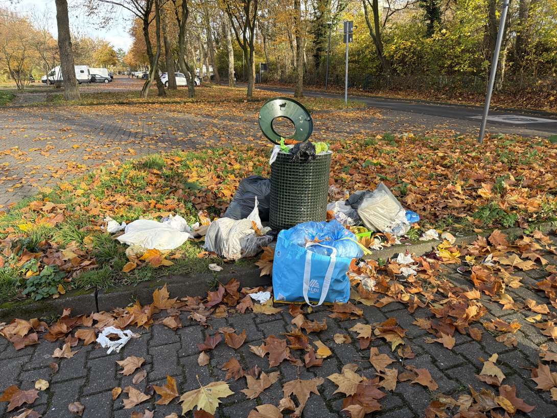 Bild zu gemeldetem Anliegen vom *2025-11-10 13:45:46