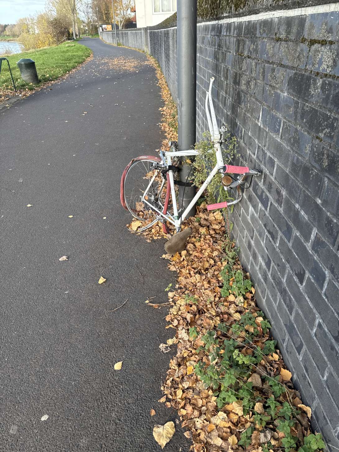 Bild zu gemeldetem Anliegen vom *2025-11-13 12:12:50