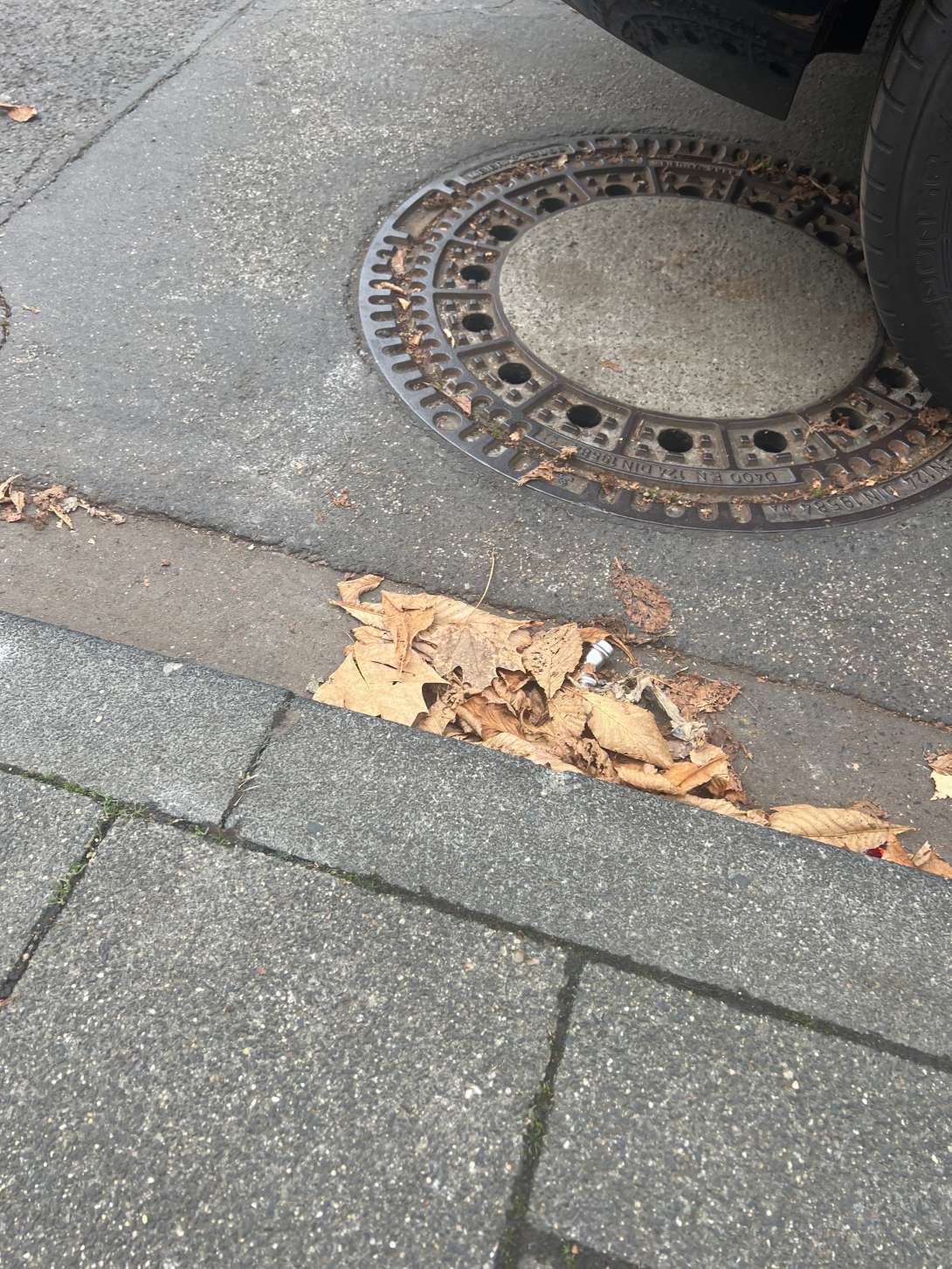 Bild zu gemeldetem Anliegen vom *2025-11-13 13:33:33