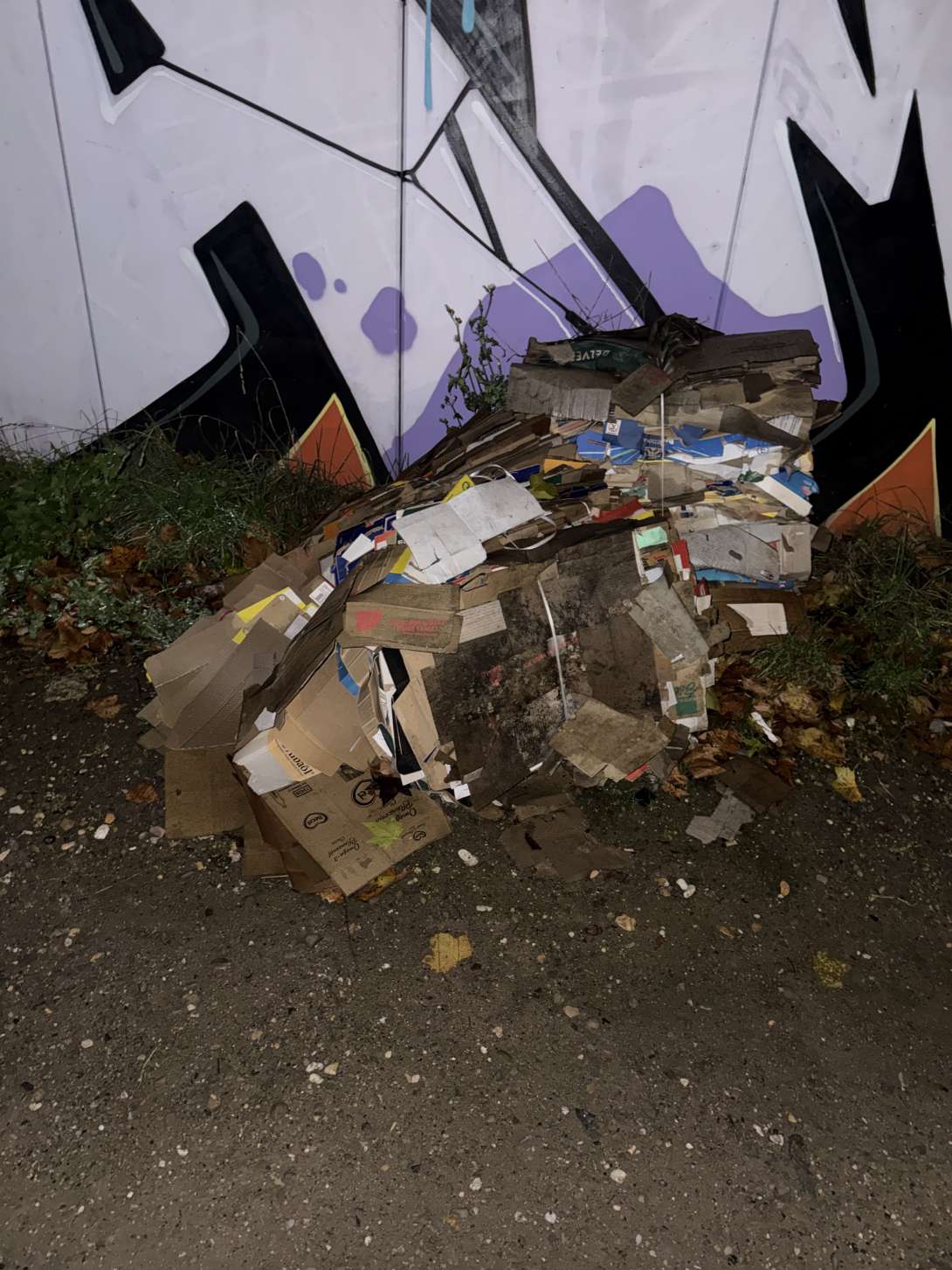 Bild zu gemeldetem Anliegen vom *2025-11-03 12:33:18