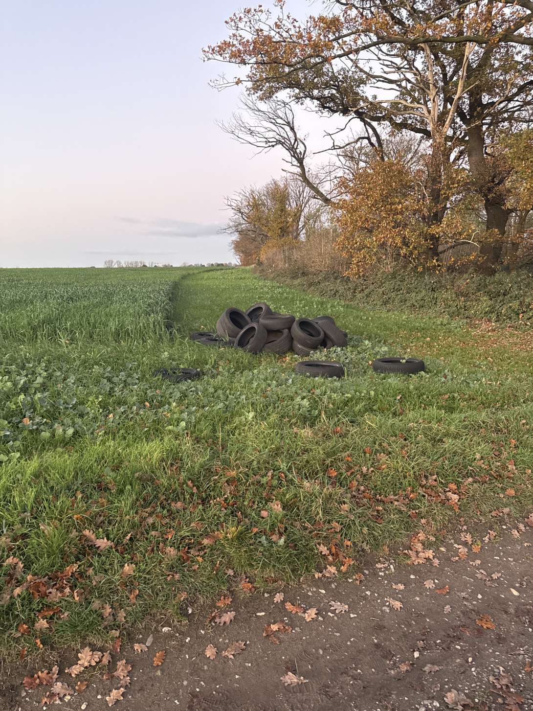 Bild zu gemeldetem Anliegen vom *2025-11-17 16:57:57