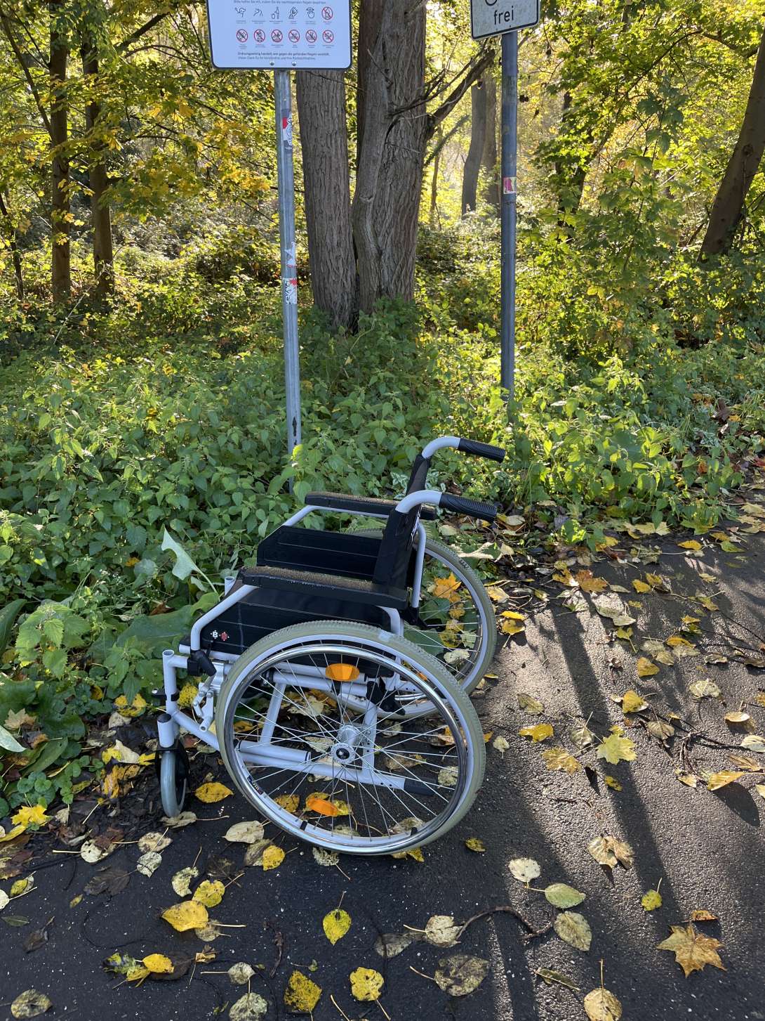 Bild zu gemeldetem Anliegen vom *2025-11-03 13:36:55