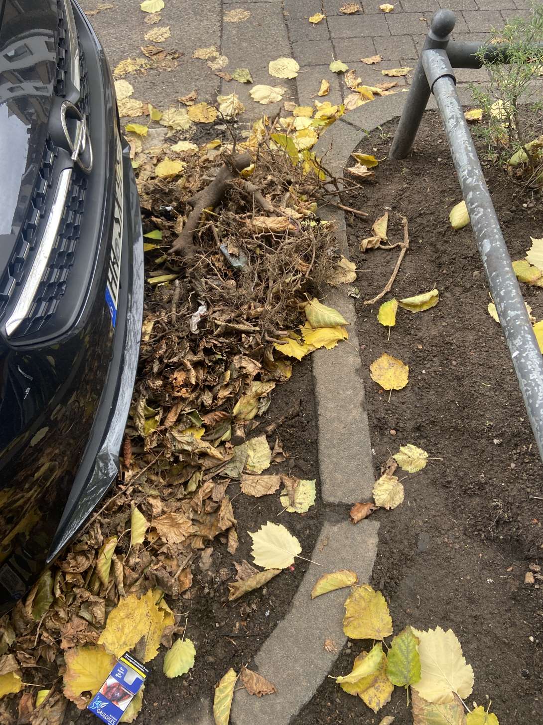 Bild zu gemeldetem Anliegen vom *2025-11-03 14:44:06