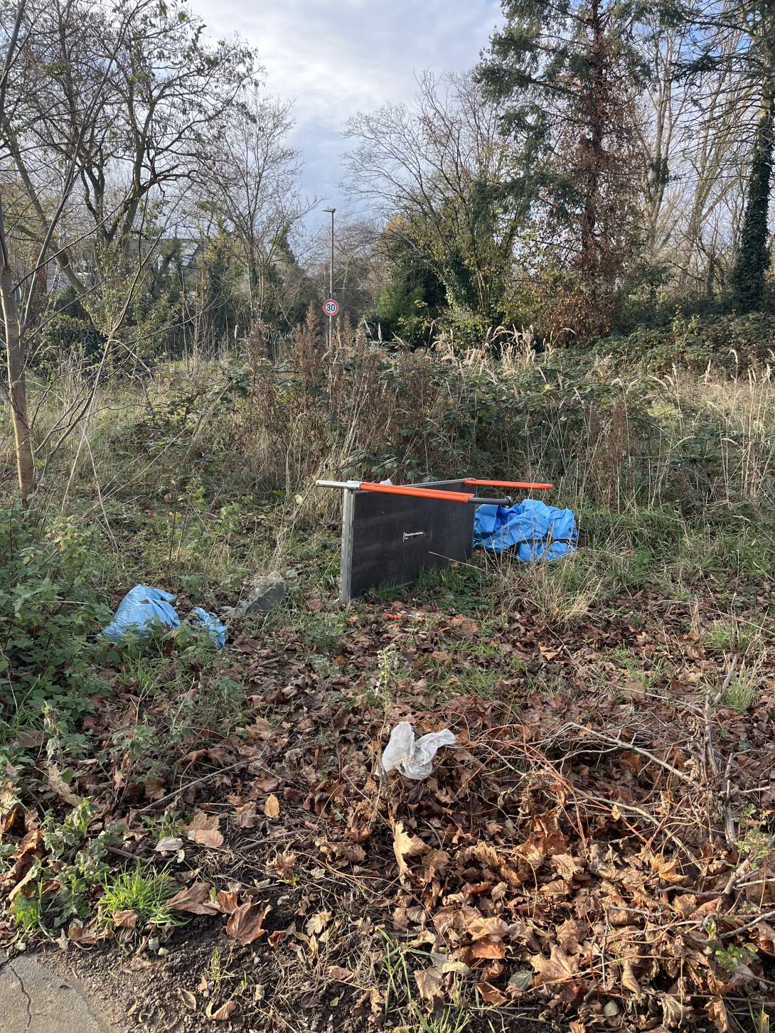 Bild zu gemeldetem Anliegen vom *2025-11-23 14:27:37