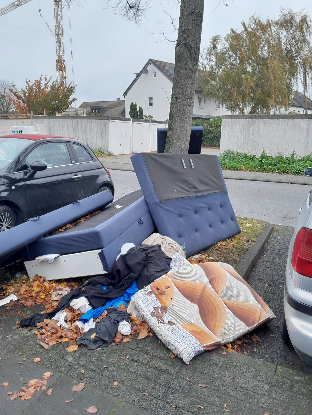 Bild zu gemeldetem Anliegen vom *2025-11-17 09:47:01