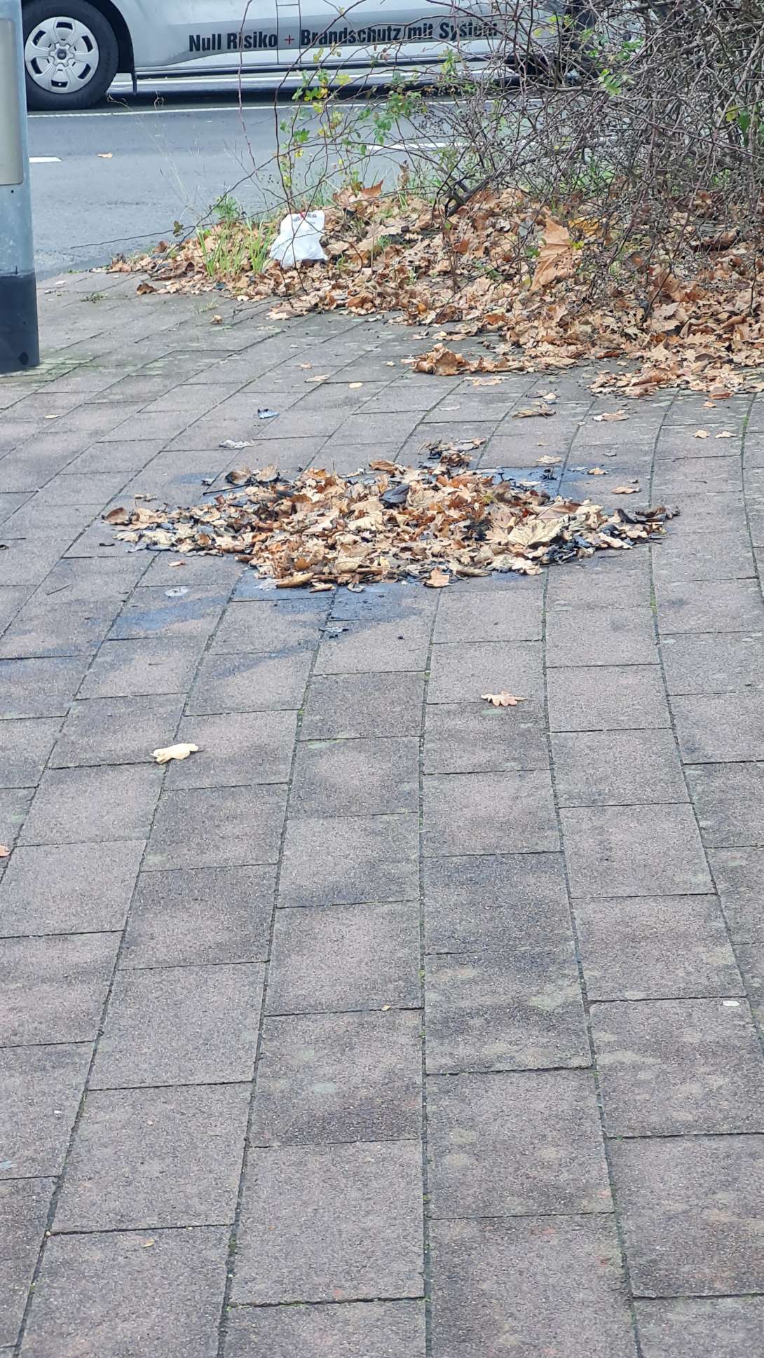 Bild zu gemeldetem Anliegen vom *2025-11-24 15:27:32