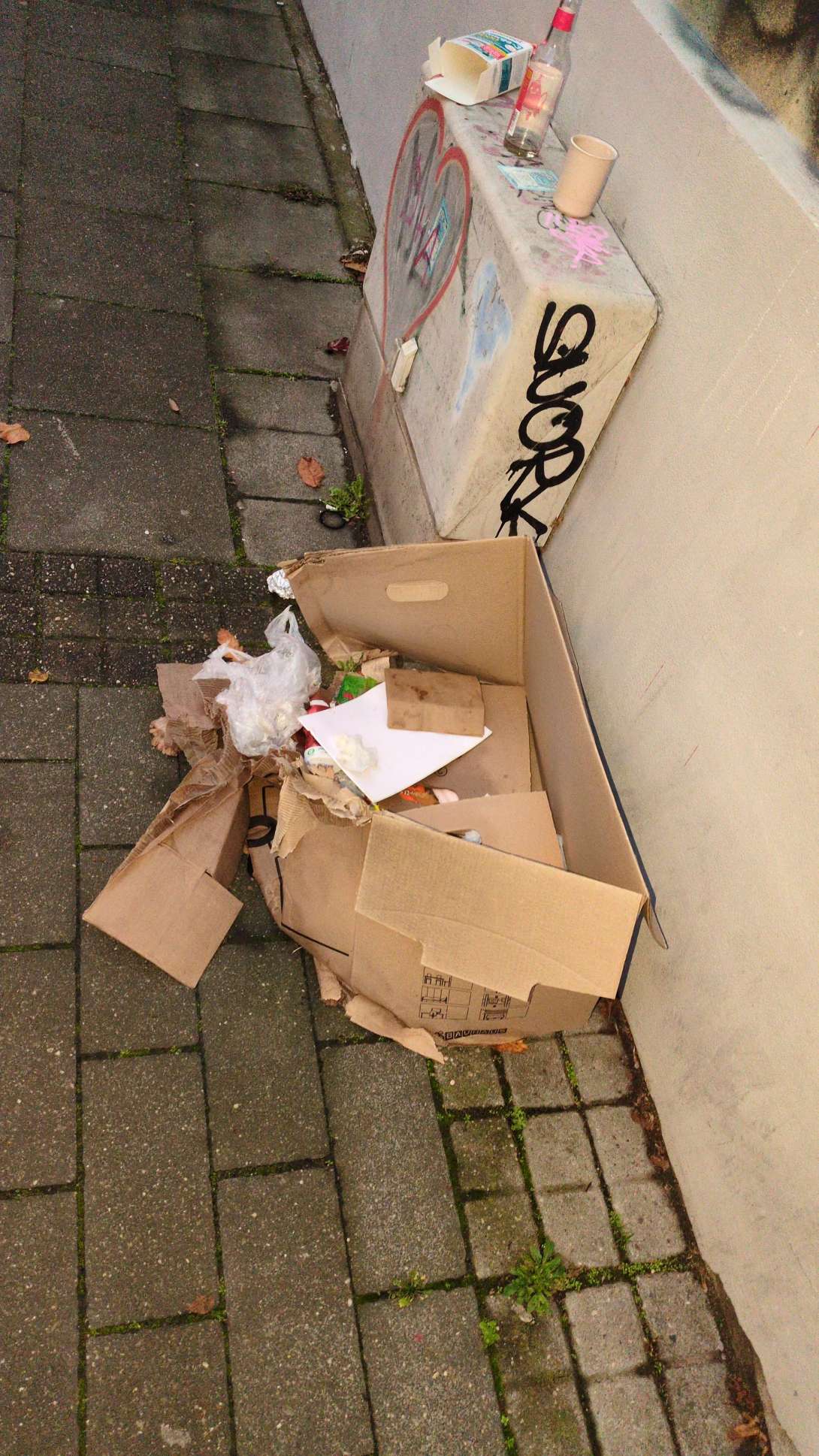 Bild zu gemeldetem Anliegen vom *2025-11-10 17:34:14