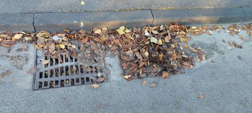 Bild zu gemeldetem Anliegen vom *2025-11-05 18:39:16