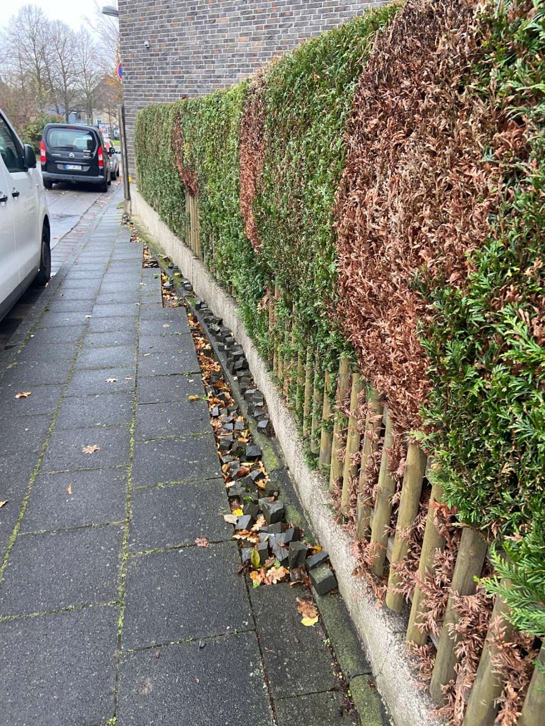 Bild zu gemeldetem Anliegen vom 2025-12-02 18:33:53