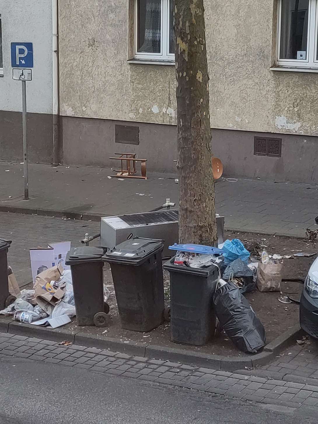 Bild zu gemeldetem Anliegen vom *2025-12-28 15:29:33