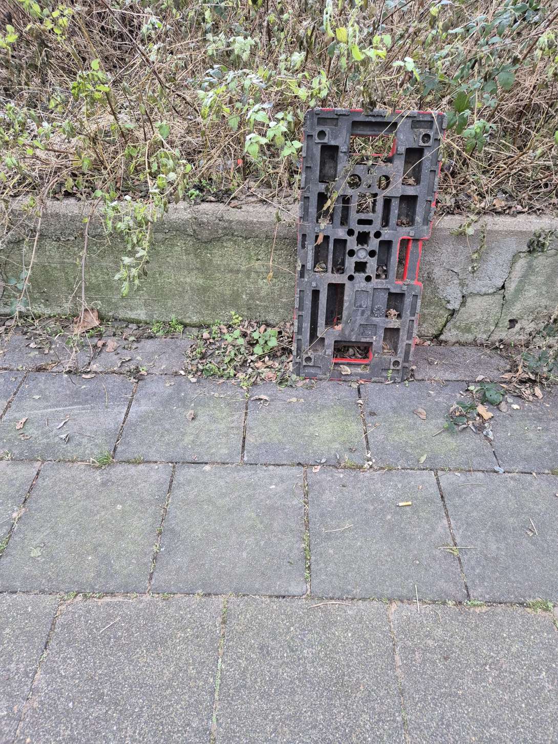 Bild zu gemeldetem Anliegen vom *2025-12-29 12:29:52