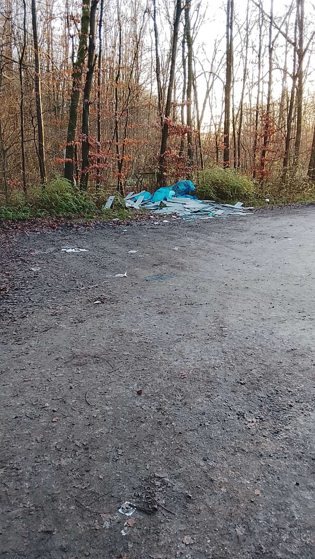 Bild zu gemeldetem Anliegen vom *2026-01-02 08:54:20