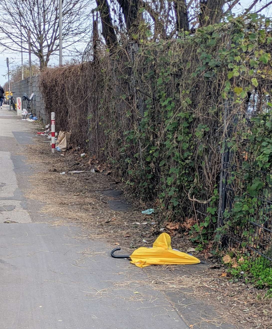 Bild zu gemeldetem Anliegen vom *2025-12-18 18:29:44