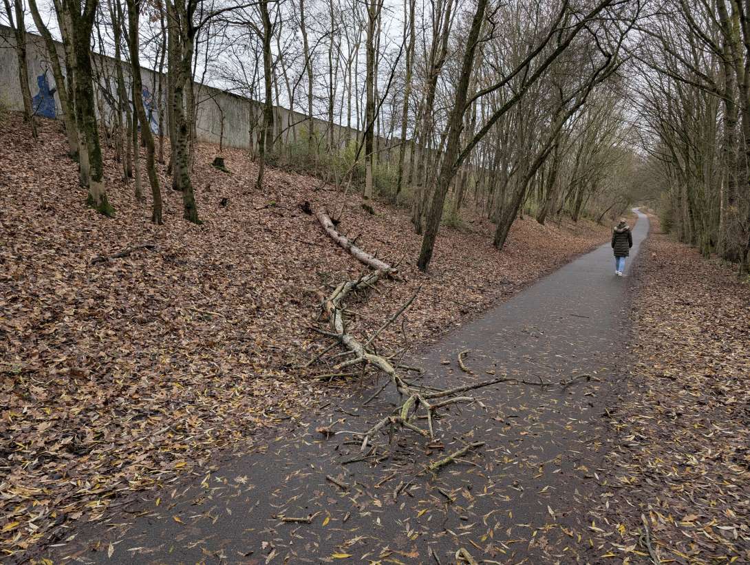 Bild zu gemeldetem Anliegen vom *2025-12-10 09:27:29