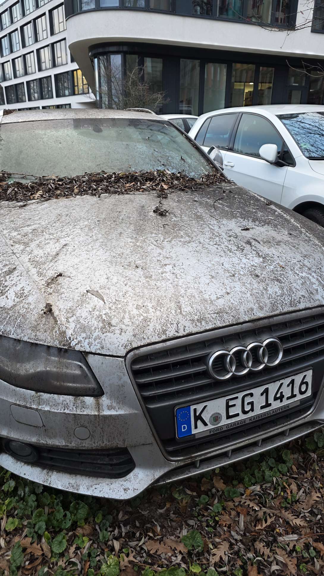 Bild zu gemeldetem Anliegen vom *2025-12-23 15:32:41