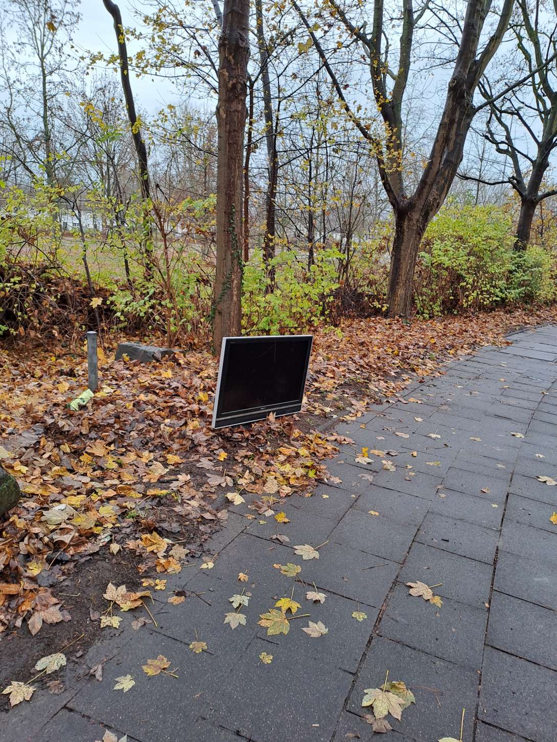 Bild zu gemeldetem Anliegen vom *2025-12-02 13:48:19