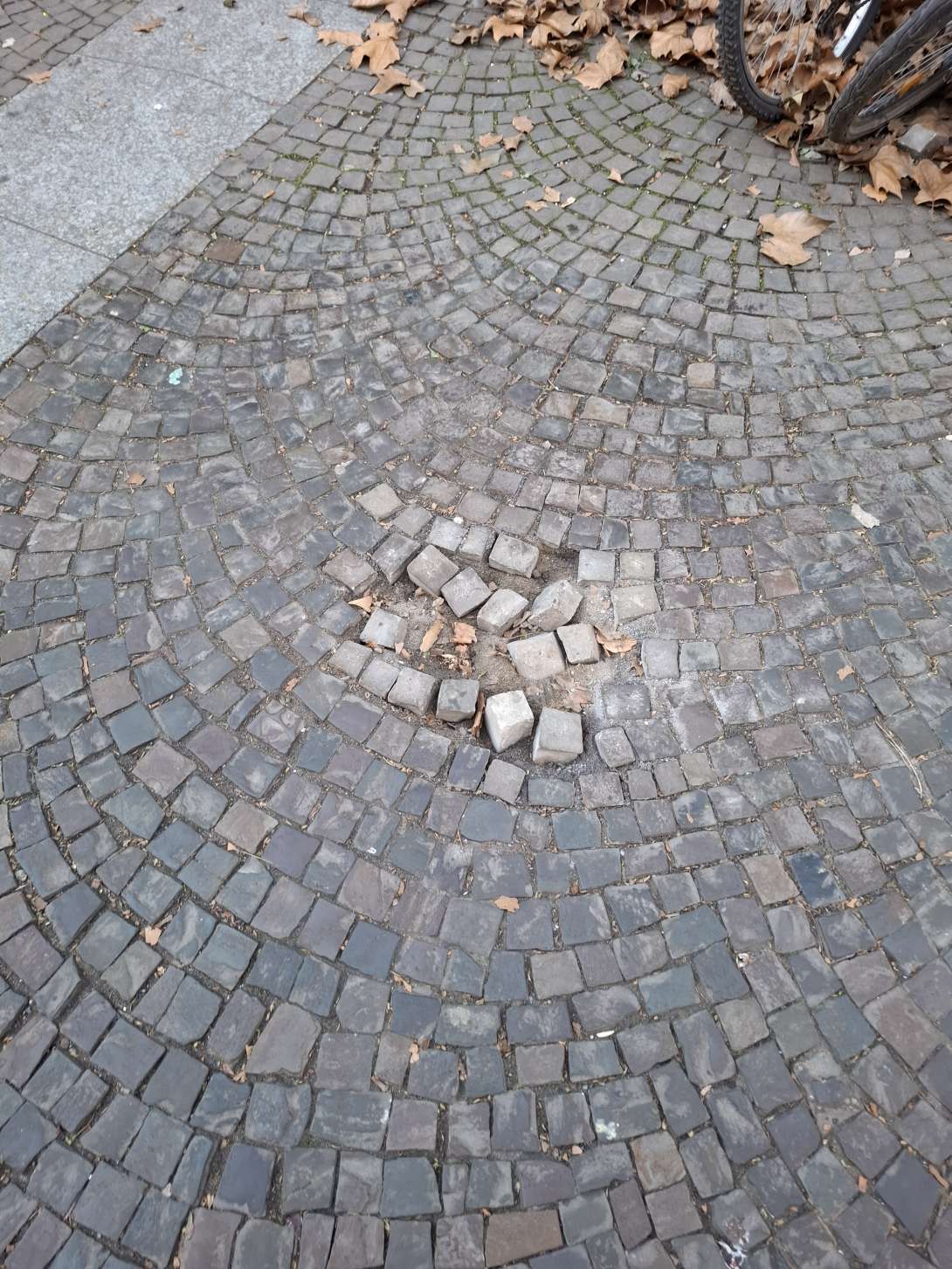 Bild zu gemeldetem Anliegen vom *2025-12-28 12:31:37