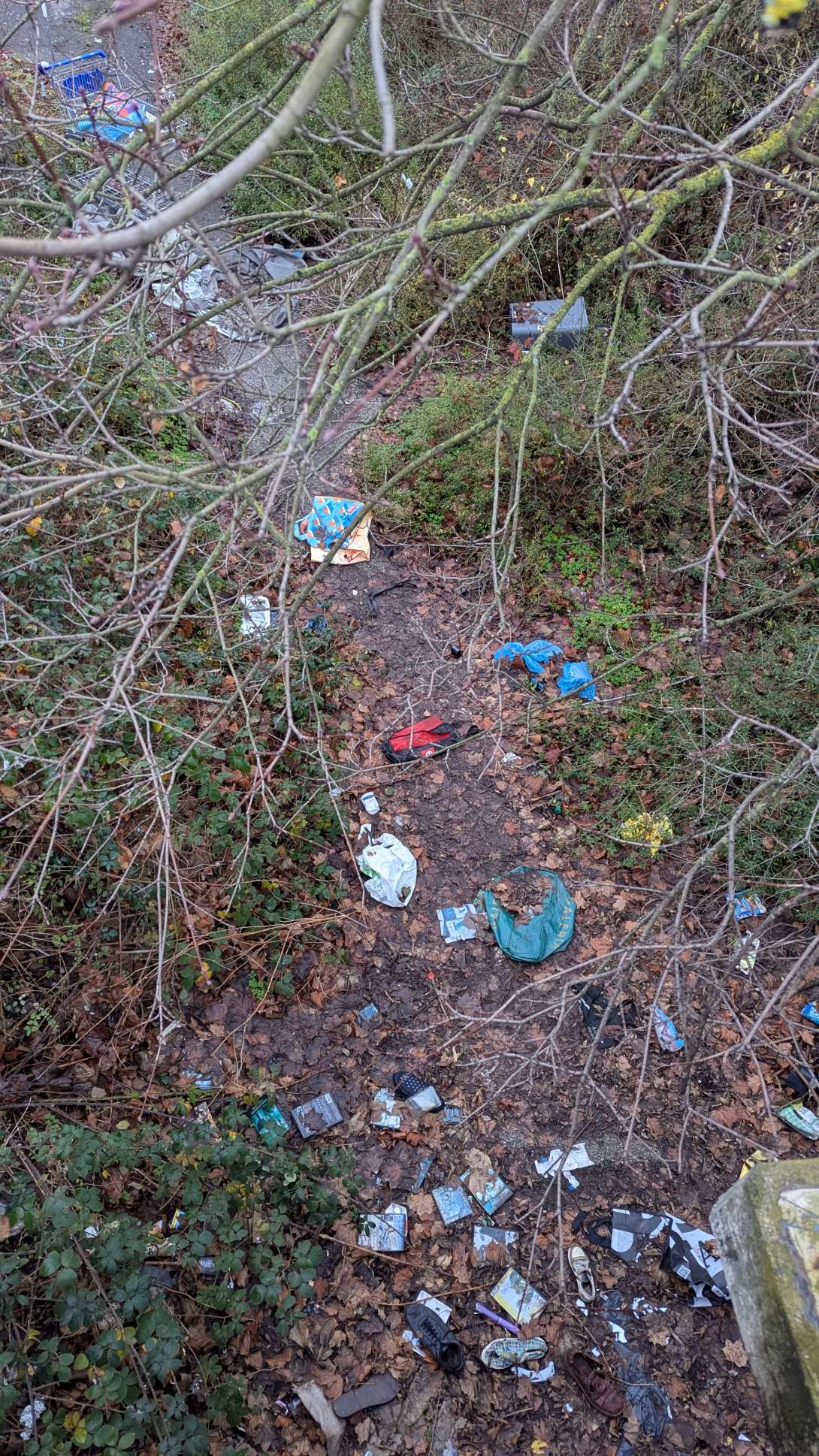 Bild zu gemeldetem Anliegen vom *2025-12-15 11:15:35