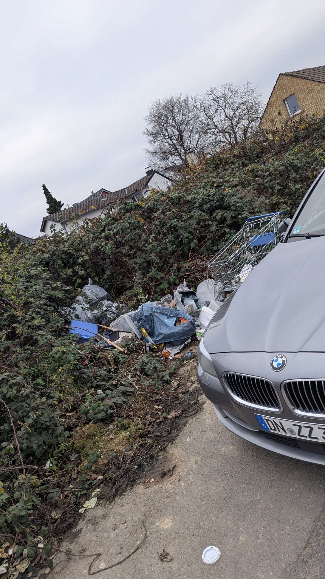 Bild zu gemeldetem Anliegen vom *2025-12-23 13:22:27