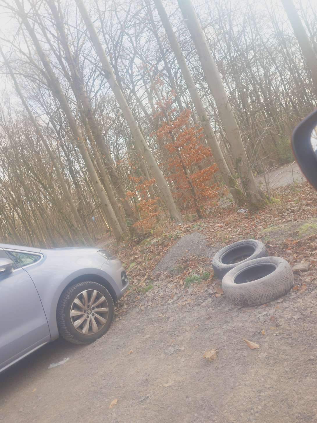 Bild zu gemeldetem Anliegen vom *2025-12-25 09:39:03