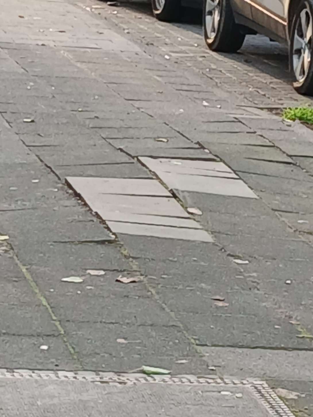 Bild zu gemeldetem Anliegen vom *2025-12-14 21:27:09