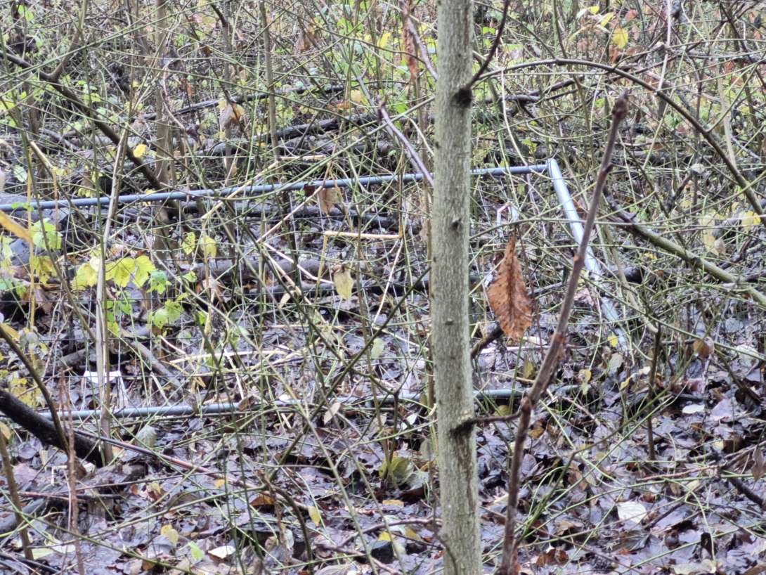 Bild zu gemeldetem Anliegen vom *2025-12-10 13:02:02