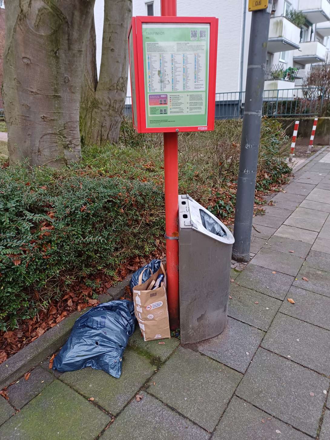 Bild zu gemeldetem Anliegen vom *2025-12-19 10:02:26