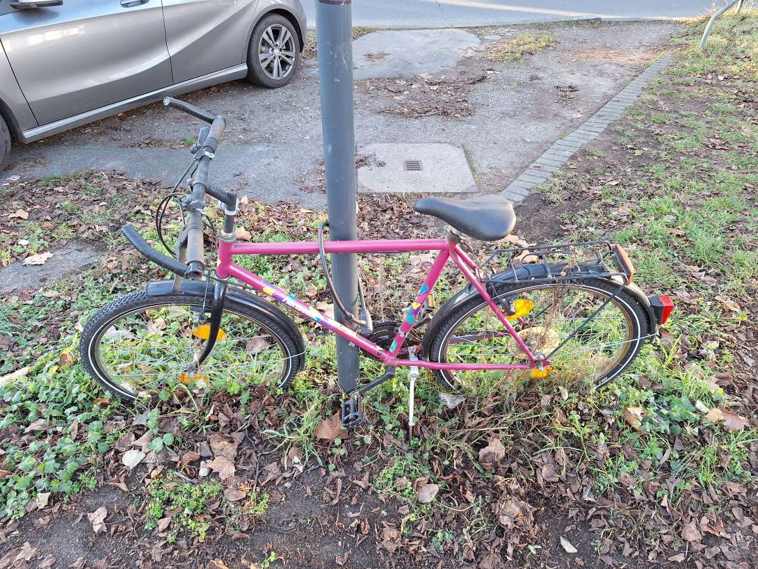 Von Natur bereits teilweise zurückeroberte Fahrradleiche 