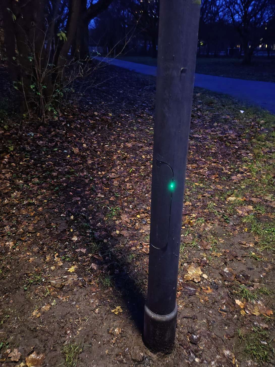 Bild zu gemeldetem Anliegen vom *2025-12-08 08:39:20