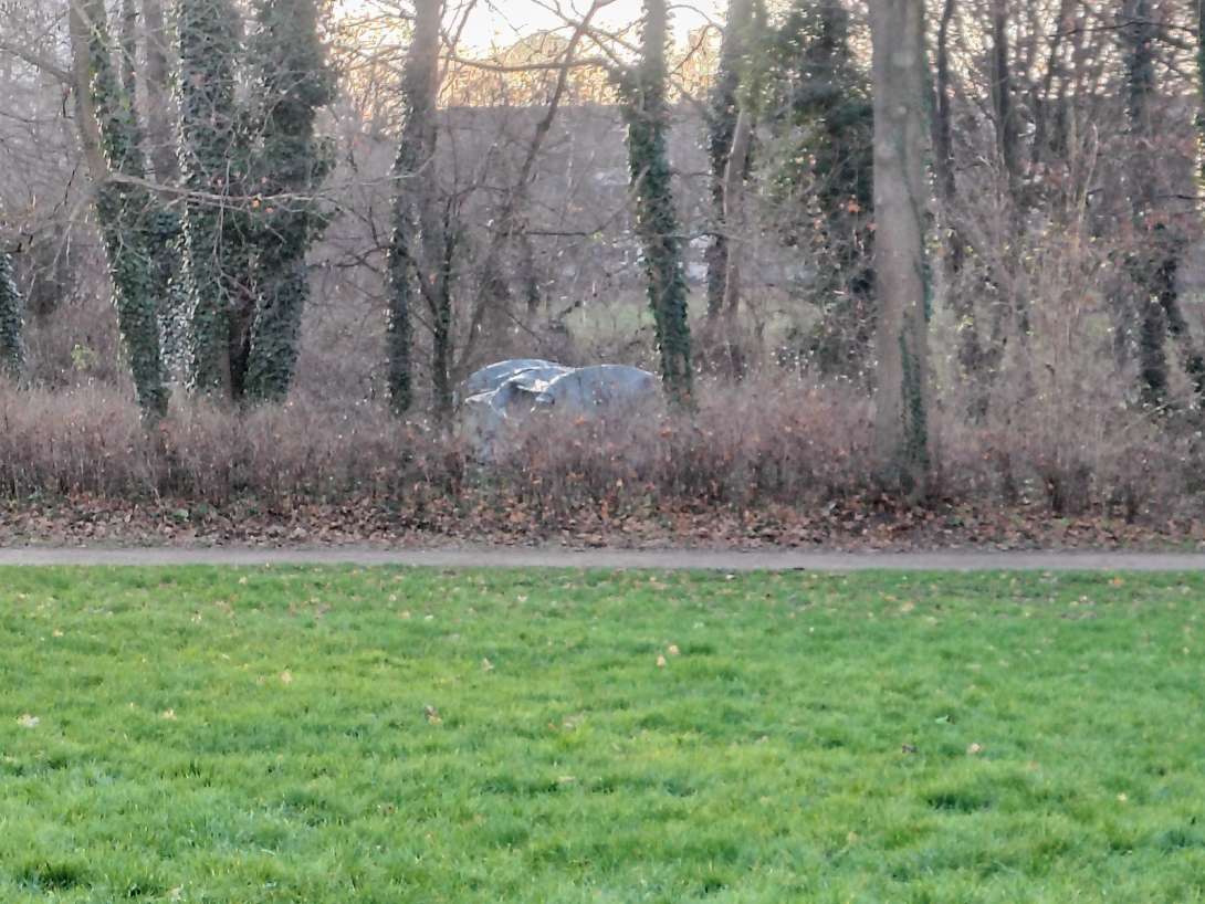 Bild zu gemeldetem Anliegen vom *2025-12-21 15:44:34