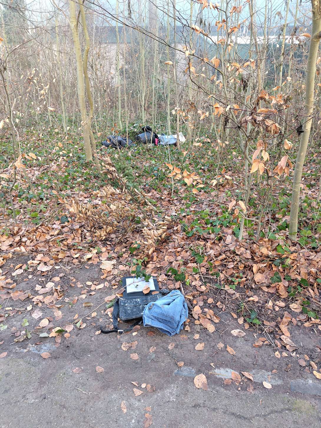 Bild zu gemeldetem Anliegen vom *2025-12-28 13:50:40