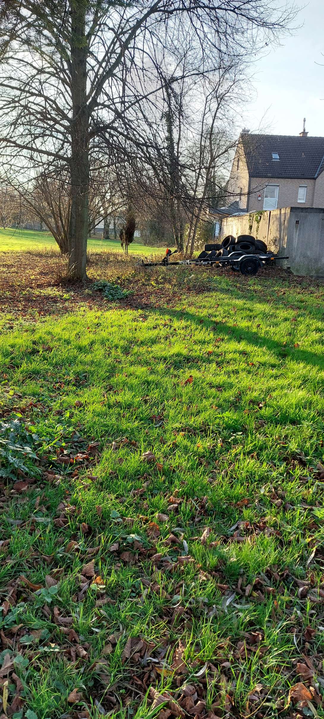 Bild zu gemeldetem Anliegen vom *2025-12-14 15:28:30