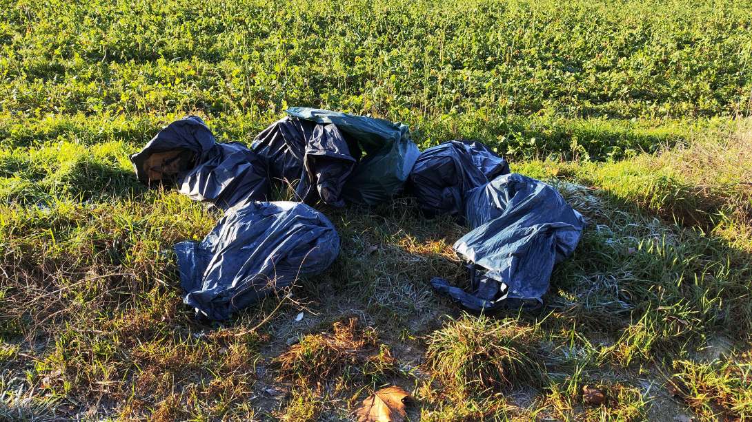 Bild zu gemeldetem Anliegen vom *2025-12-26 12:36:07