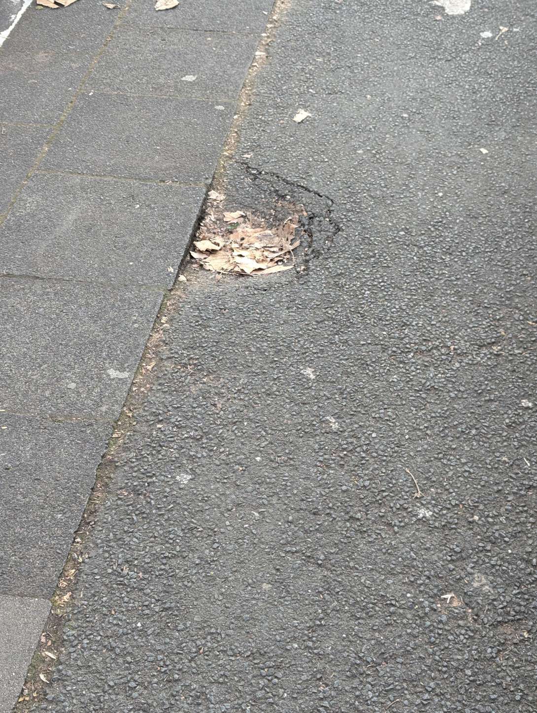 Bild zu gemeldetem Anliegen vom *2025-12-26 15:29:56