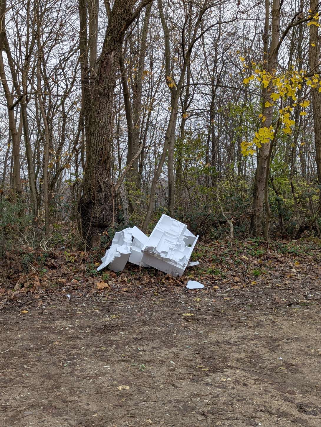 Bild zu gemeldetem Anliegen vom *2025-12-05 13:54:22