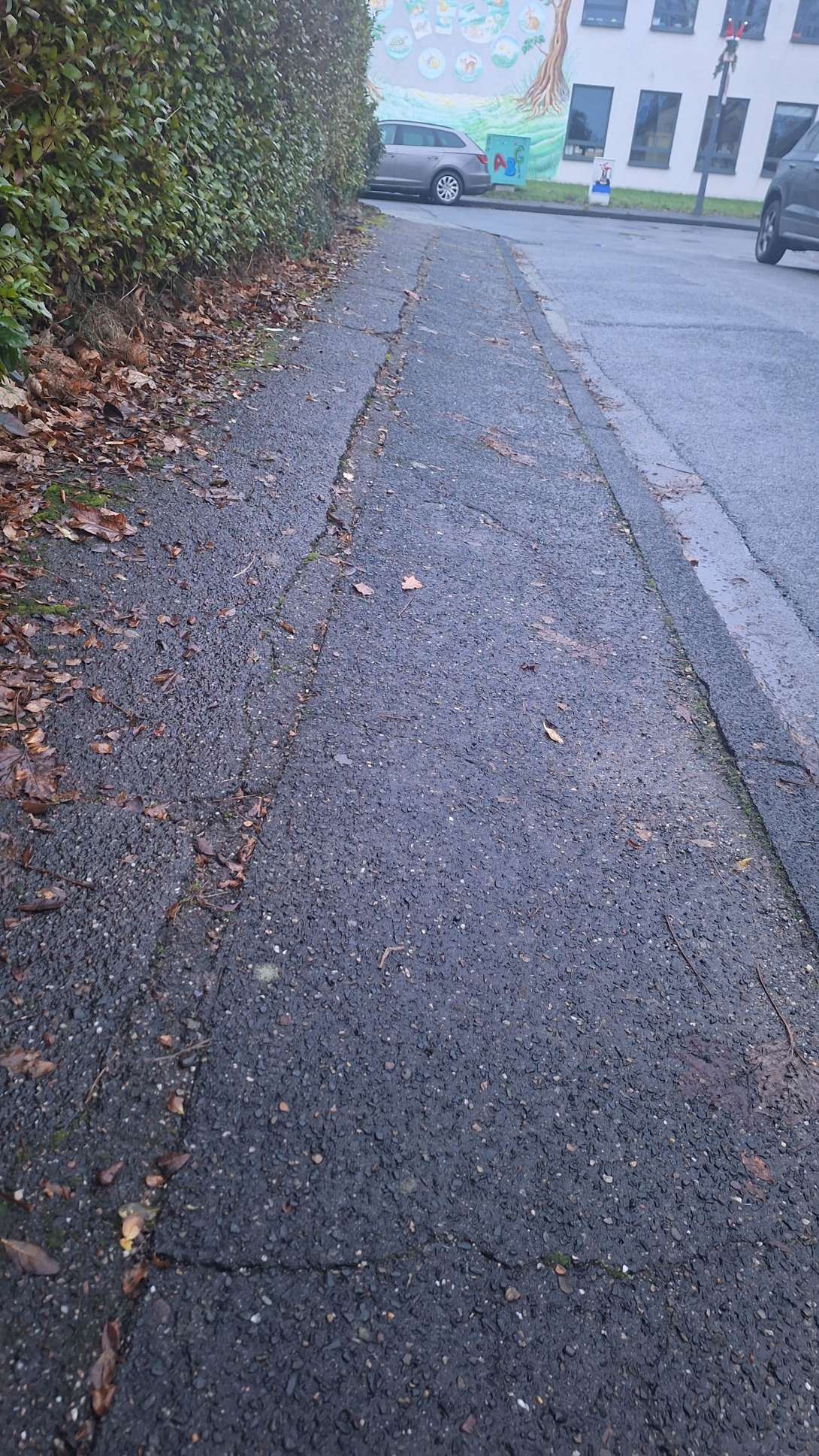 Bild zu gemeldetem Anliegen vom *2025-12-07 16:18:12