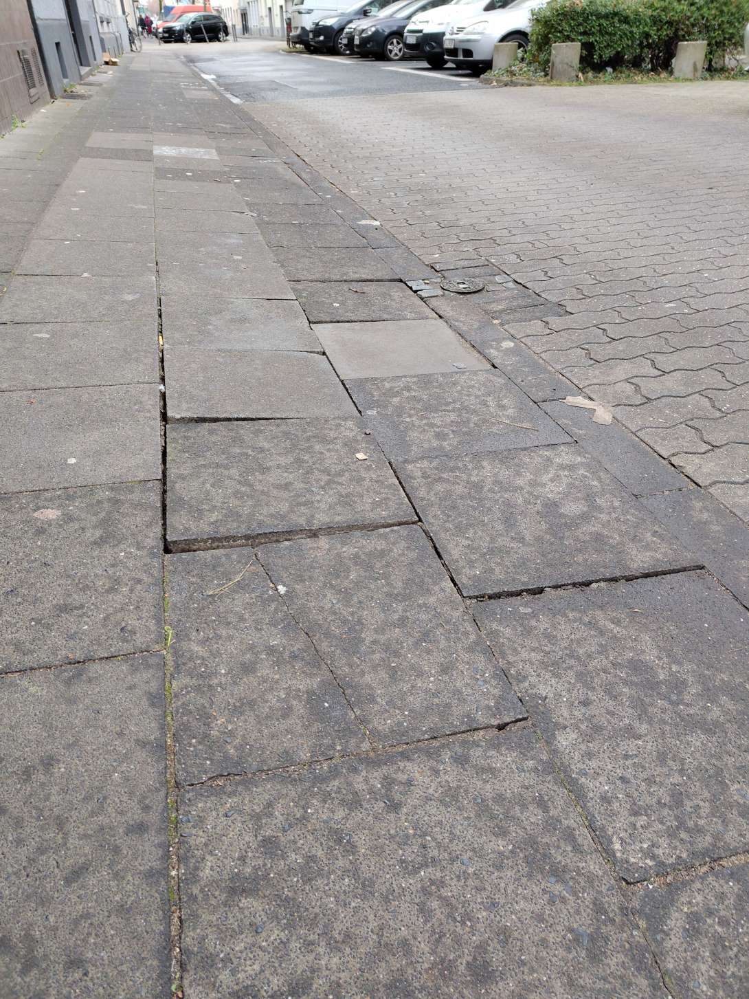 Bild zu gemeldetem Anliegen vom *2025-12-31 12:52:25