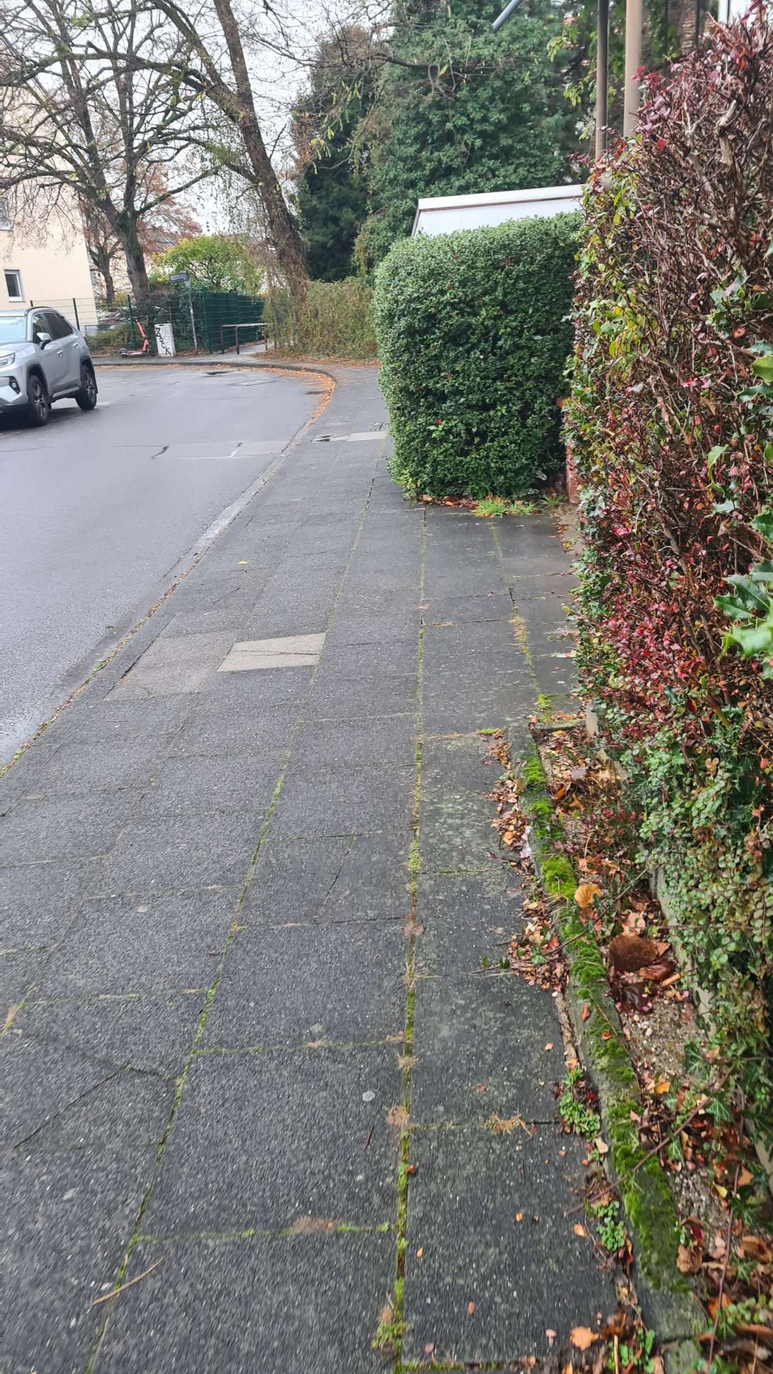 Bild zu gemeldetem Anliegen vom *2025-12-03 16:02:49