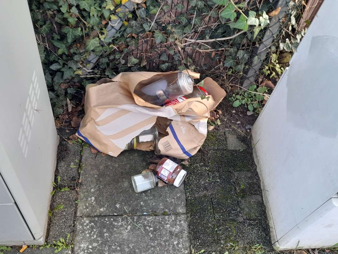 Bild zu gemeldetem Anliegen vom *2025-12-01 16:50:44