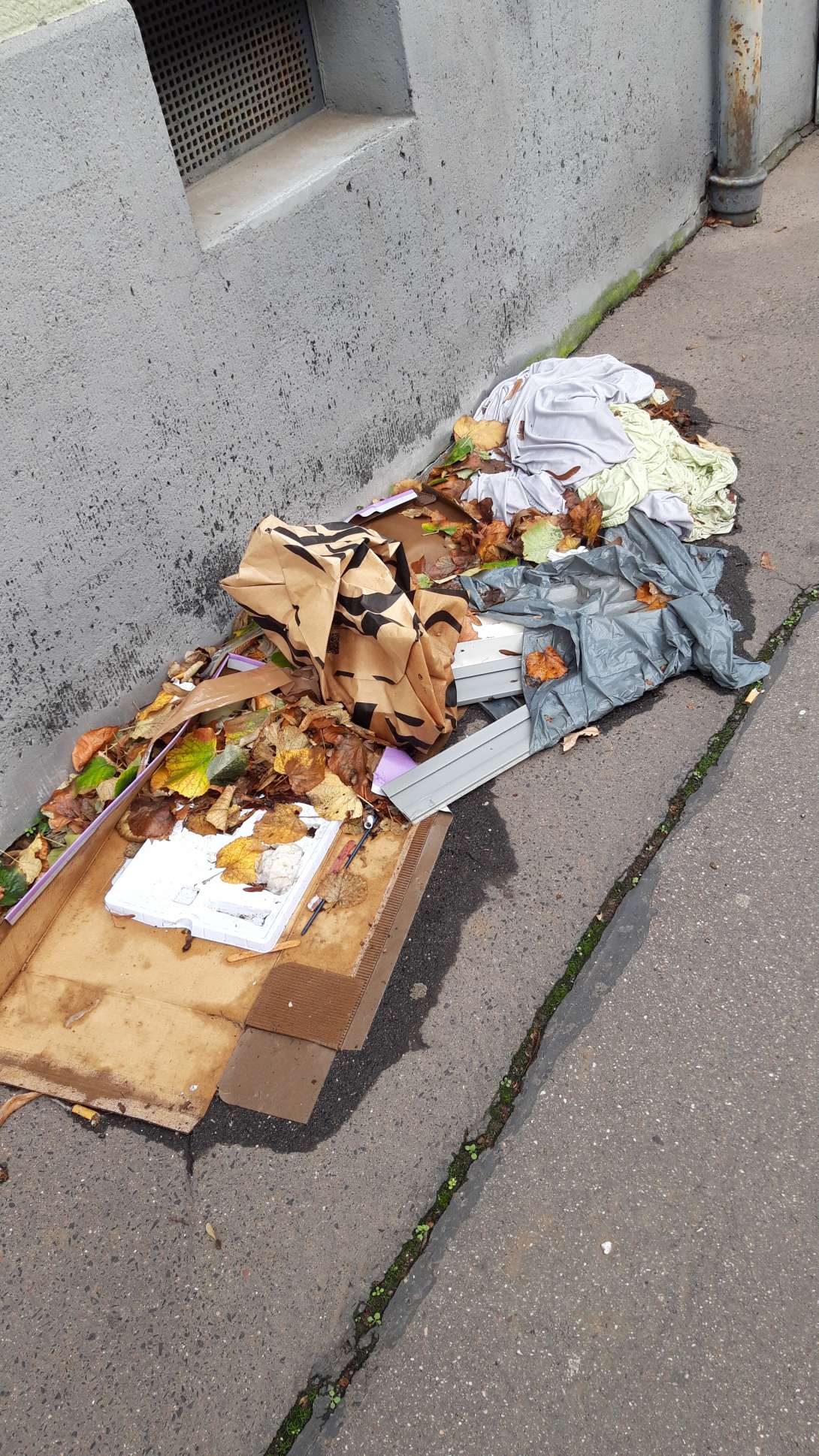 Bild zu gemeldetem Anliegen vom *2025-12-04 14:21:08