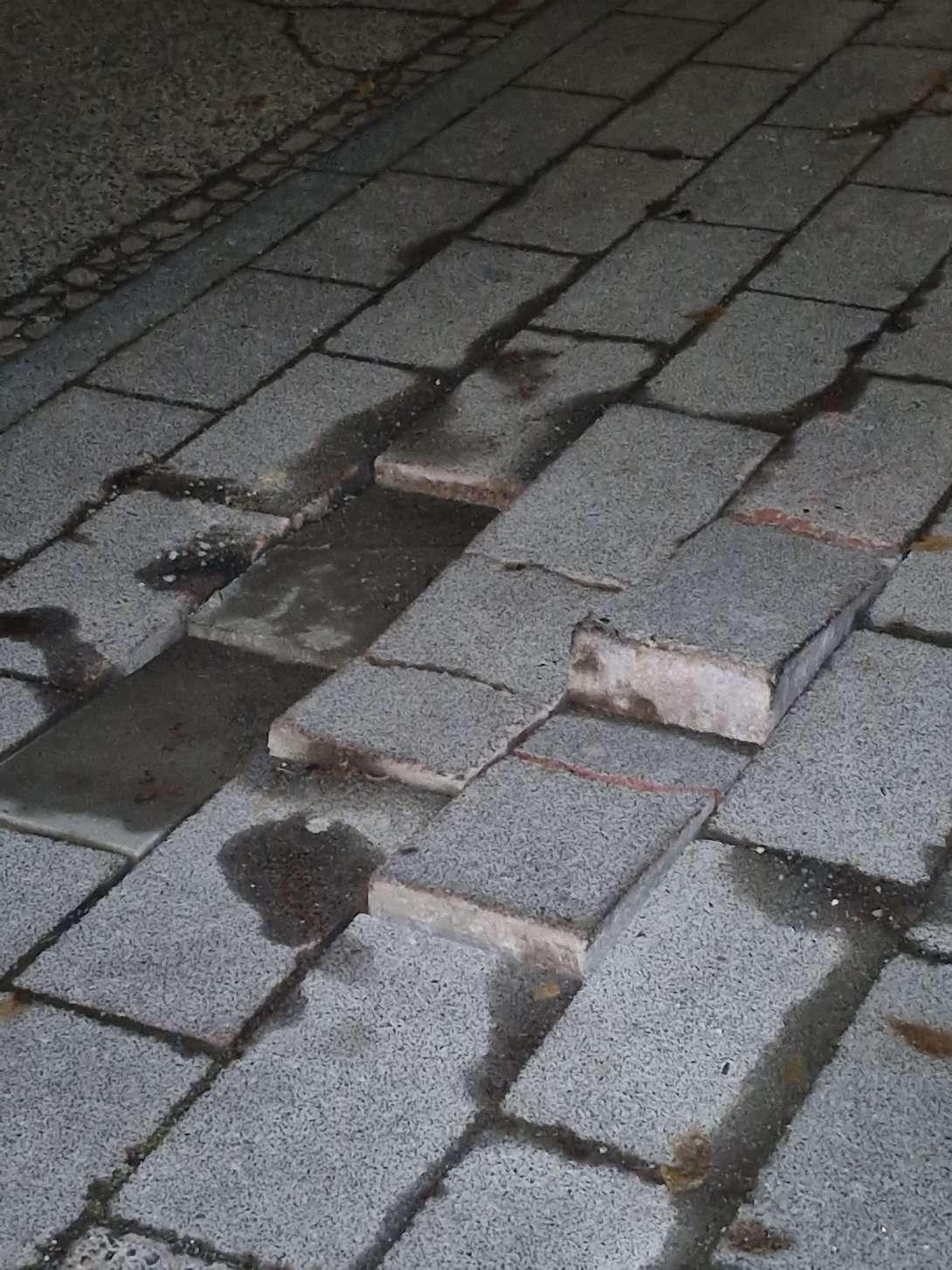 Bild zu gemeldetem Anliegen vom *2025-12-05 18:31:33