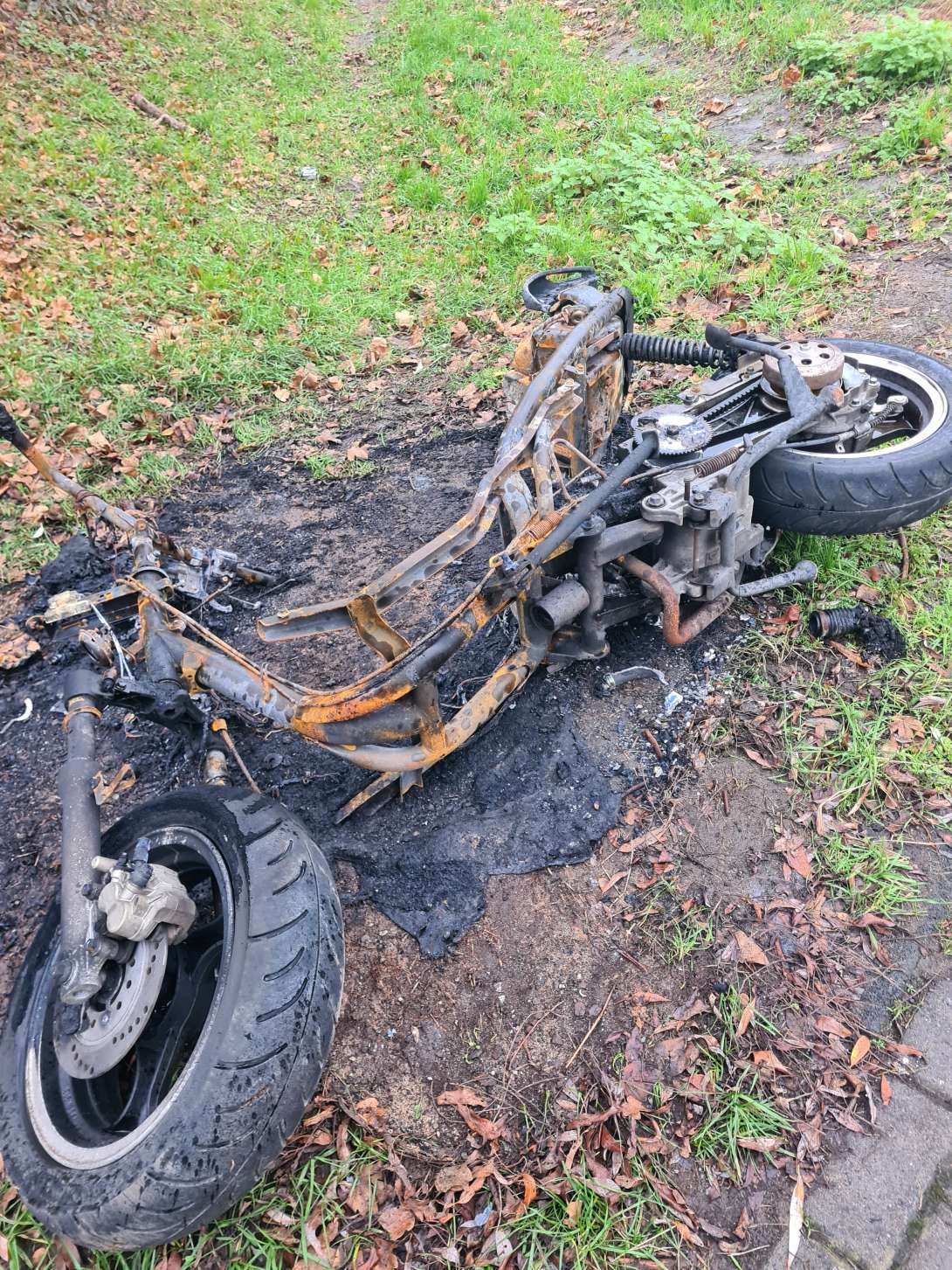 Bild zu gemeldetem Anliegen vom *2025-12-07 17:38:52